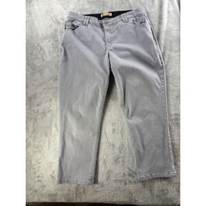 Democracy Womens 16W Gray Stretch Ankle Pants Preppy Classic Fit Work Casual